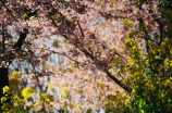 钩针花样(学习钩针花样，实现手工艺术的想象力)